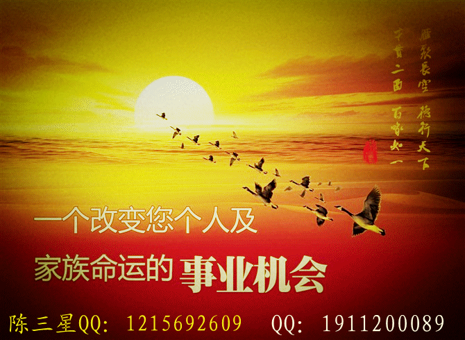 隆力奇集团企业简介 