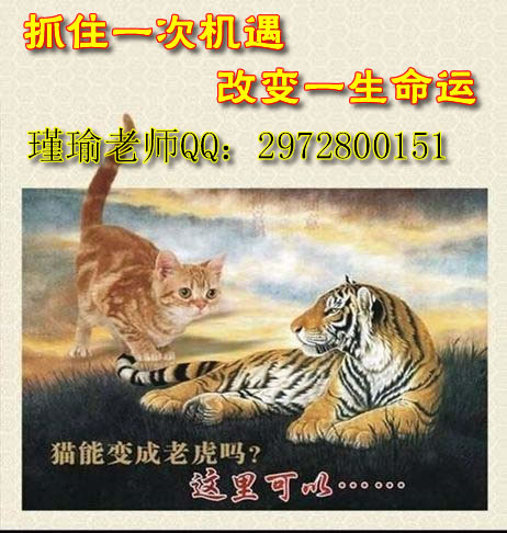 机遇 