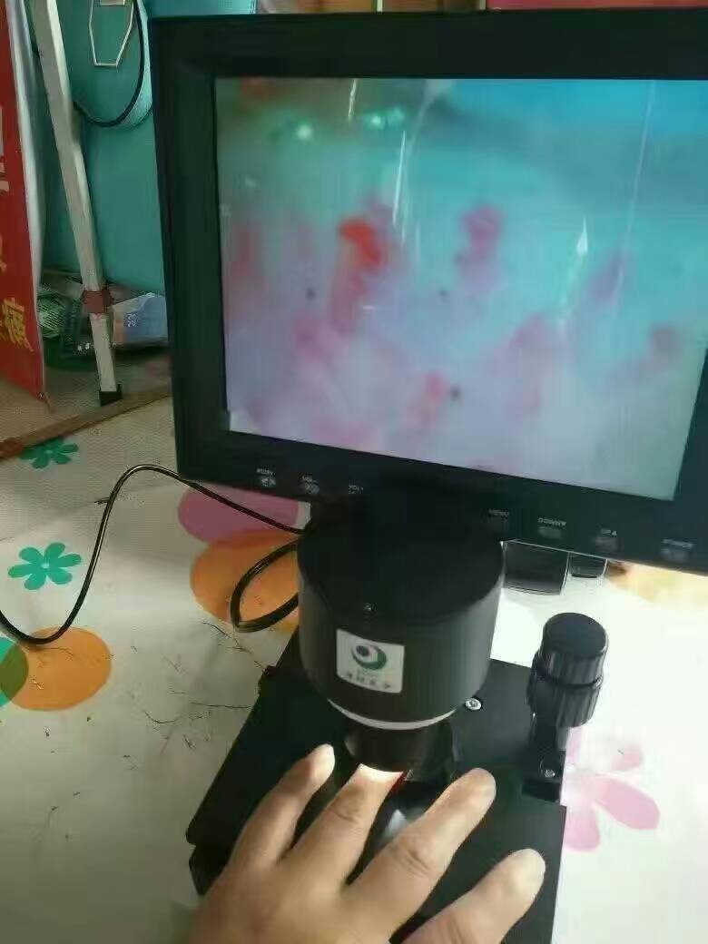 穿魔力鞋后测试仪器上的精确显示